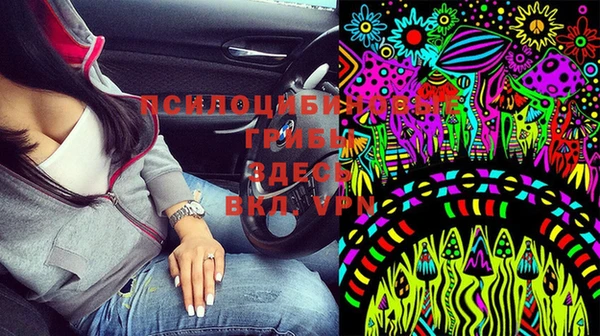индика Алексин
