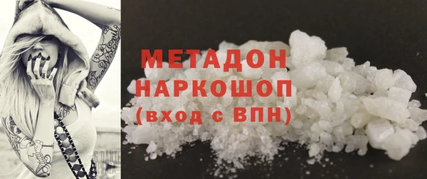 индика Алексин