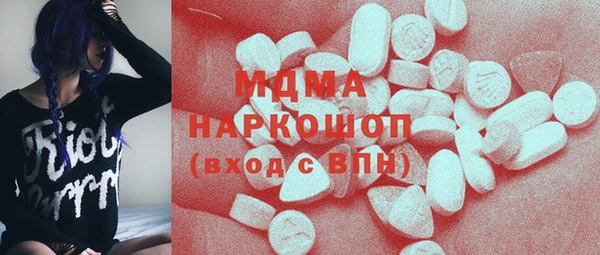 индика Алексин