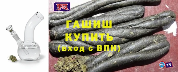 индика Алексин