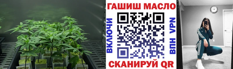 наркотики  Сарапул  ТГК жижа 