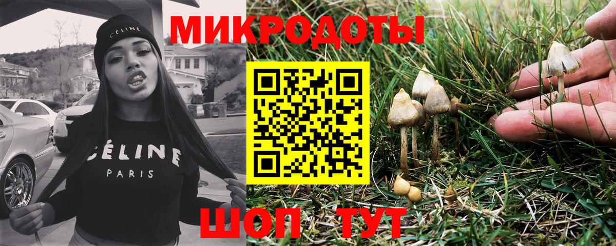 Галлюциногенные грибы GOLDEN TEACHER  Вход с VPN  Сарапул  Галлюциногенные грибы Psilocybe 