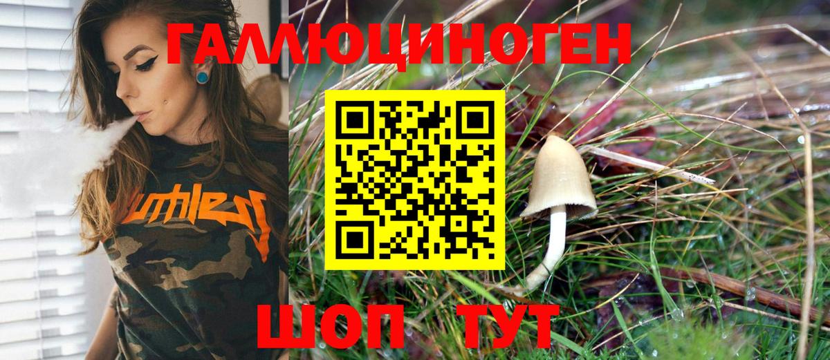 Галлюциногенные грибы Psilocybine cubensis Сарапул
